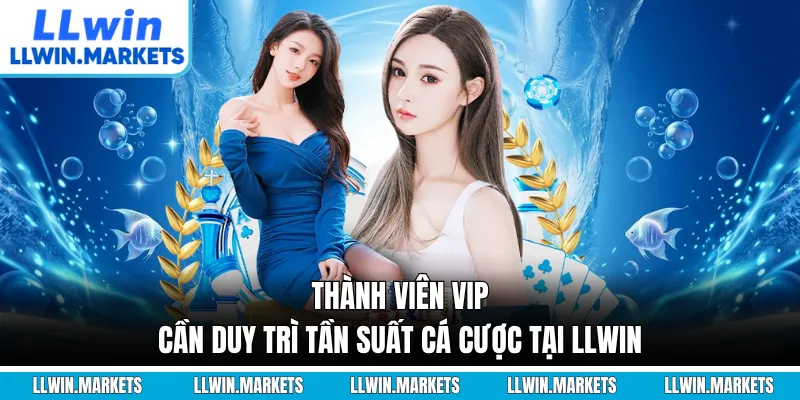 Thành viên VIP cần duy trì tần suất cá cược tại LLWIN